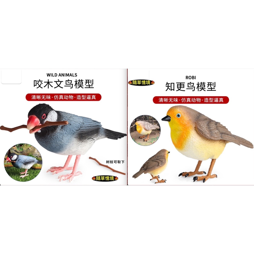 （3款高品質畫工）仿真實心 文鳥 知更鳥 麻雀 飛禽 小鳥 鳥 咬木 模型 動物模型 野生動物 公仔 SPG-細節圖10