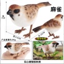 （3款高品質畫工）仿真實心 文鳥 知更鳥 麻雀 飛禽 小鳥 鳥 咬木 模型 動物模型 野生動物 公仔 SPG-規格圖11