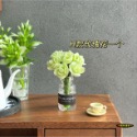 （8款玻璃）迷你仿真 玻璃瓶 玫瑰花 花園 花瓶 花盆 水培 插花 K150 娃娃屋 袖珍 微縮 食玩 微景觀 模型-規格圖11