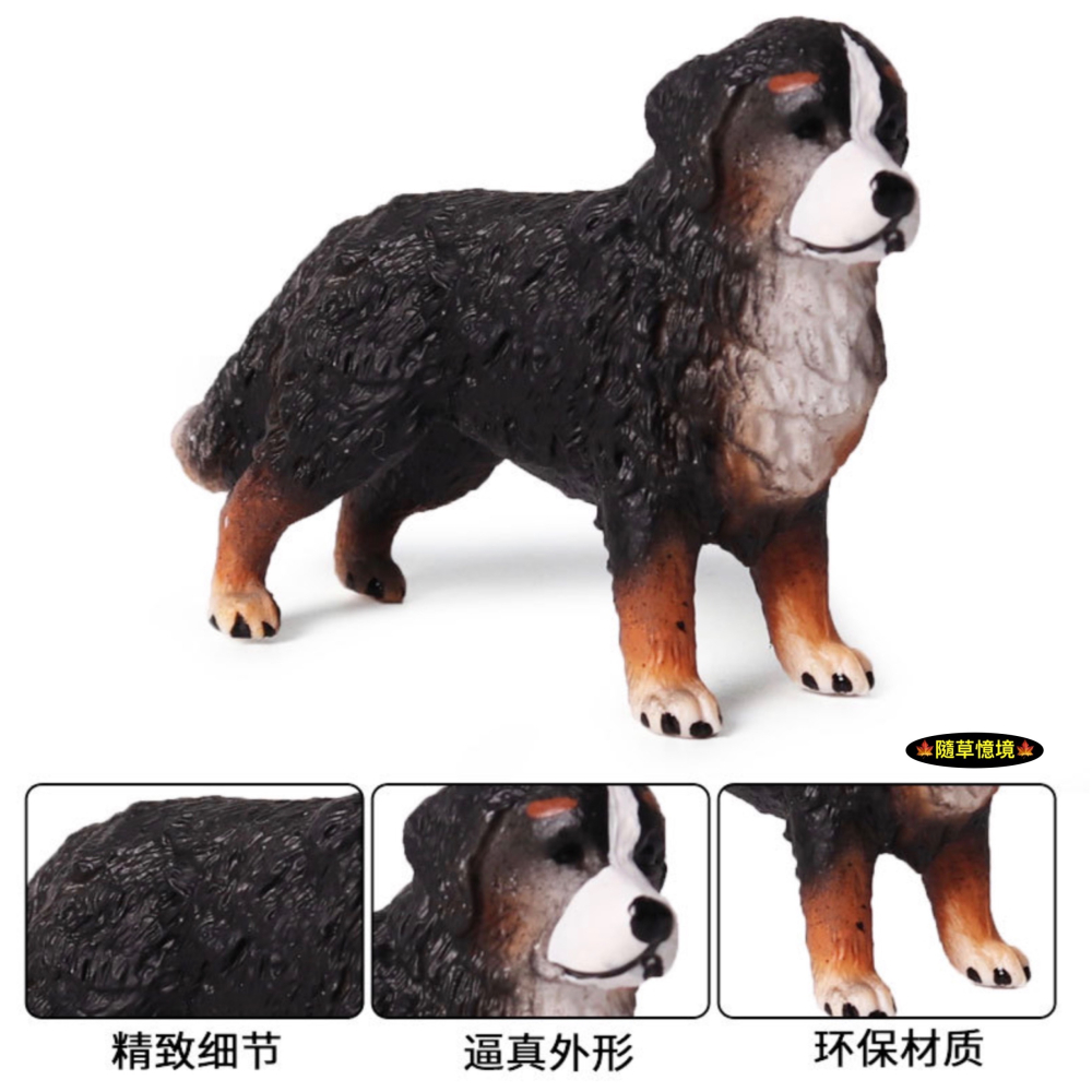 （高品質畫工）仿真 博納山 地犬 博恩山犬 寵物狗 小狗 狗狗 動物模型 野生動物 兒童玩具 公仔 SPG-細節圖3