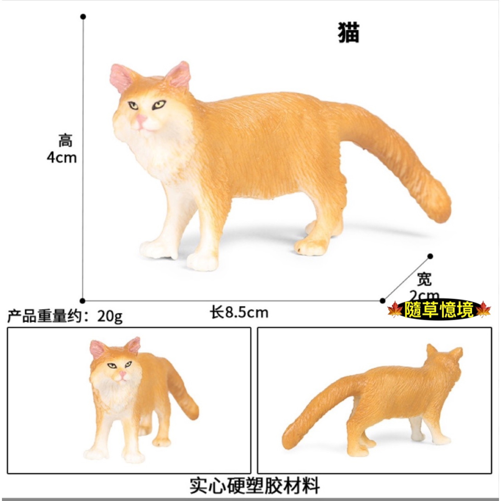 （7款高品質畫工）仿真 喵咪 喵星人 小貓 貓 波斯貓 動物模型 野生動物 兒童玩具 益智 公仔 SPG-細節圖4