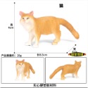 （7款高品質畫工）仿真 喵咪 喵星人 小貓 貓 波斯貓 動物模型 野生動物 兒童玩具 益智 公仔 SPG-規格圖8