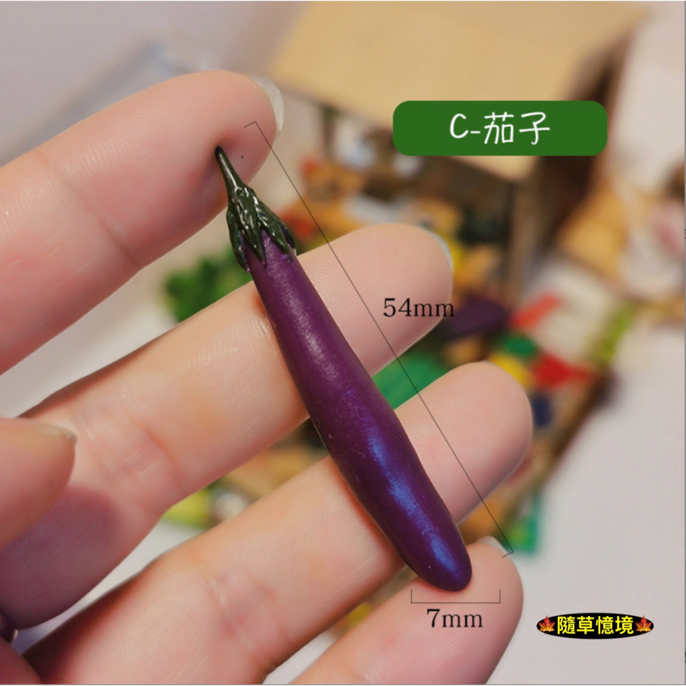 （極度仿真）迷你仿真 苦瓜 南瓜 茄子 絲瓜  大號 蔬菜 D161 娃娃屋 袖珍 微縮 食玩 微景觀 模型-細節圖4