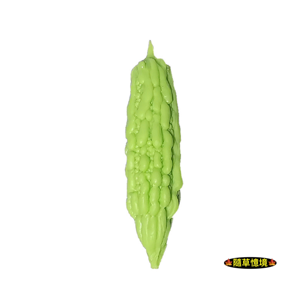 （極度仿真）迷你仿真 苦瓜 南瓜 茄子 絲瓜  大號 蔬菜 D161 娃娃屋 袖珍 微縮 食玩 微景觀 模型-細節圖9