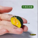 （極度仿真）迷你仿真 苦瓜 南瓜 茄子 絲瓜  大號 蔬菜 D161 娃娃屋 袖珍 微縮 食玩 微景觀 模型-規格圖9