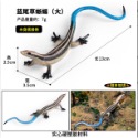 （3款高品質畫工） 蜥蜴 藍尾 草蜥蜴 四腳蛇 石龍子 捷蜥蜴 爬行動物 動物模型 野生動物 公仔 SPG-規格圖10