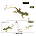 （3款高品質畫工） 蜥蜴 藍尾 草蜥蜴 四腳蛇 石龍子 捷蜥蜴 爬行動物 動物模型 野生動物 公仔 SPG-規格圖10