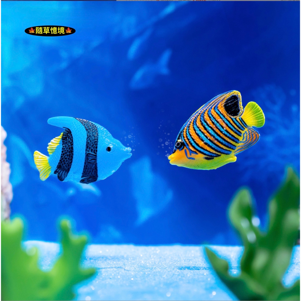 （7款）珊瑚 海草 海魚 小魚 魚 熱帶魚 珊瑚礁 釣魚 微景觀 水族箱 魚缸 海底 造景 裝飾 擺件-細節圖4