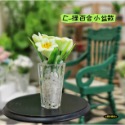 （8款高檔）迷你仿真 百合花 鬱金香 K156 花盆 盆景 白玉石 盆景 娃娃屋 袖珍 微縮 食玩 微景觀 模-規格圖10