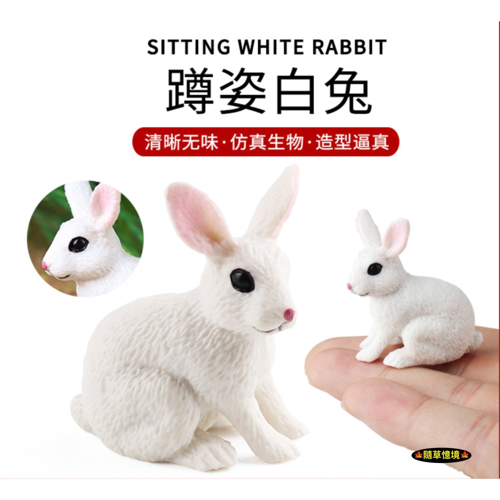 （2款高品質畫工）仿真 小白兔 兔子 農場 農莊 家寵 動物模型 野生動物 兒童玩具 益智 公仔 SPG-細節圖2