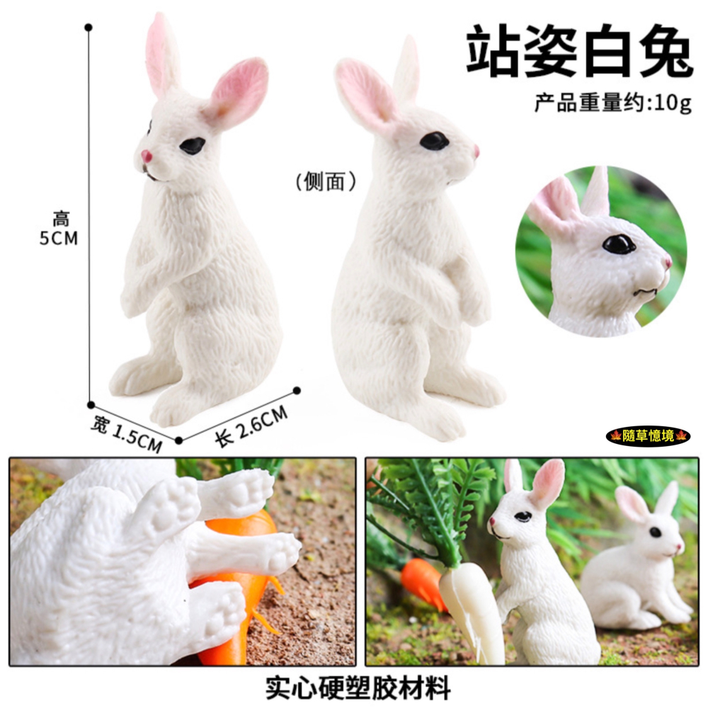 （2款高品質畫工）仿真 小白兔 兔子 農場 農莊 家寵 動物模型 野生動物 兒童玩具 益智 公仔 SPG-細節圖6
