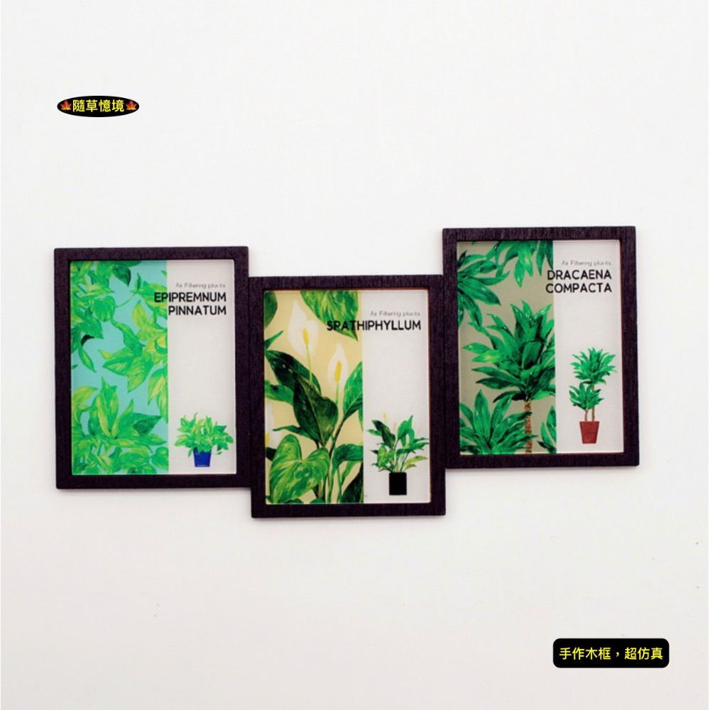 黑框三件畫（觀葉植物系列）