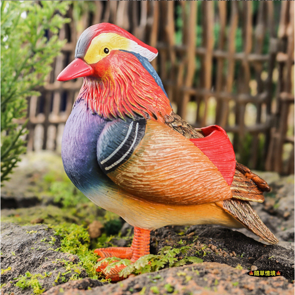 （高品質畫工）仿真 雌雄 鴛鴦 情侶 禽鳥 鳥 叢林 動物 花園 動物模型 野生動物 兒童玩具 益智 spg-細節圖3