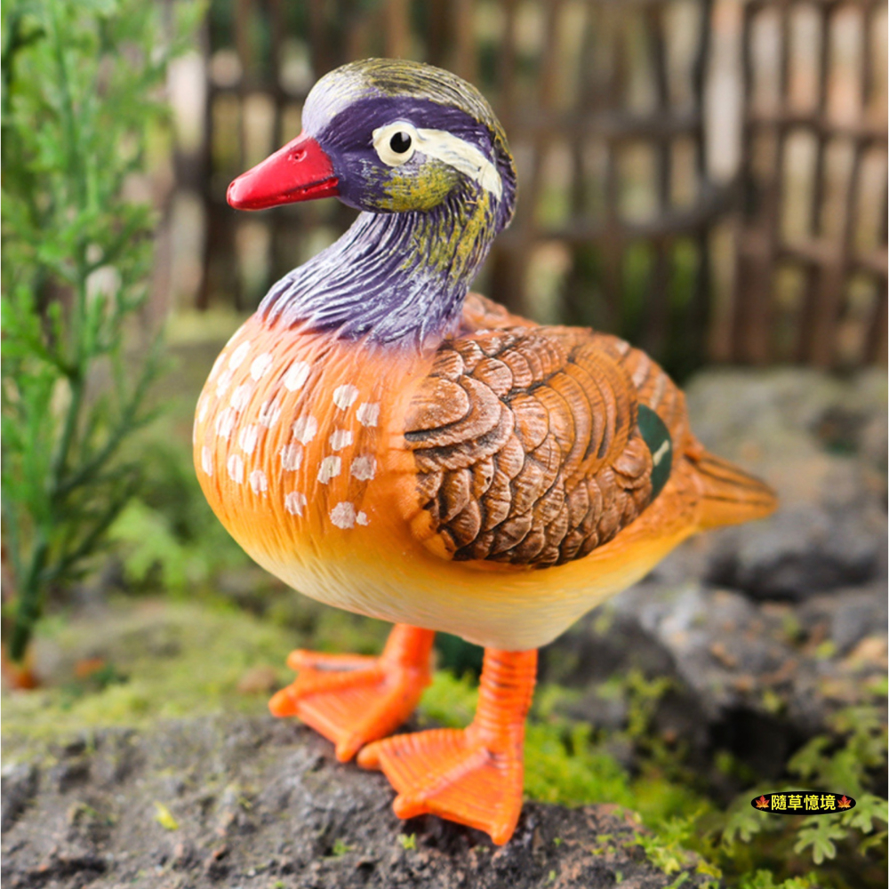 （高品質畫工）仿真 雌雄 鴛鴦 情侶 禽鳥 鳥 叢林 動物 花園 動物模型 野生動物 兒童玩具 益智 spg-細節圖5