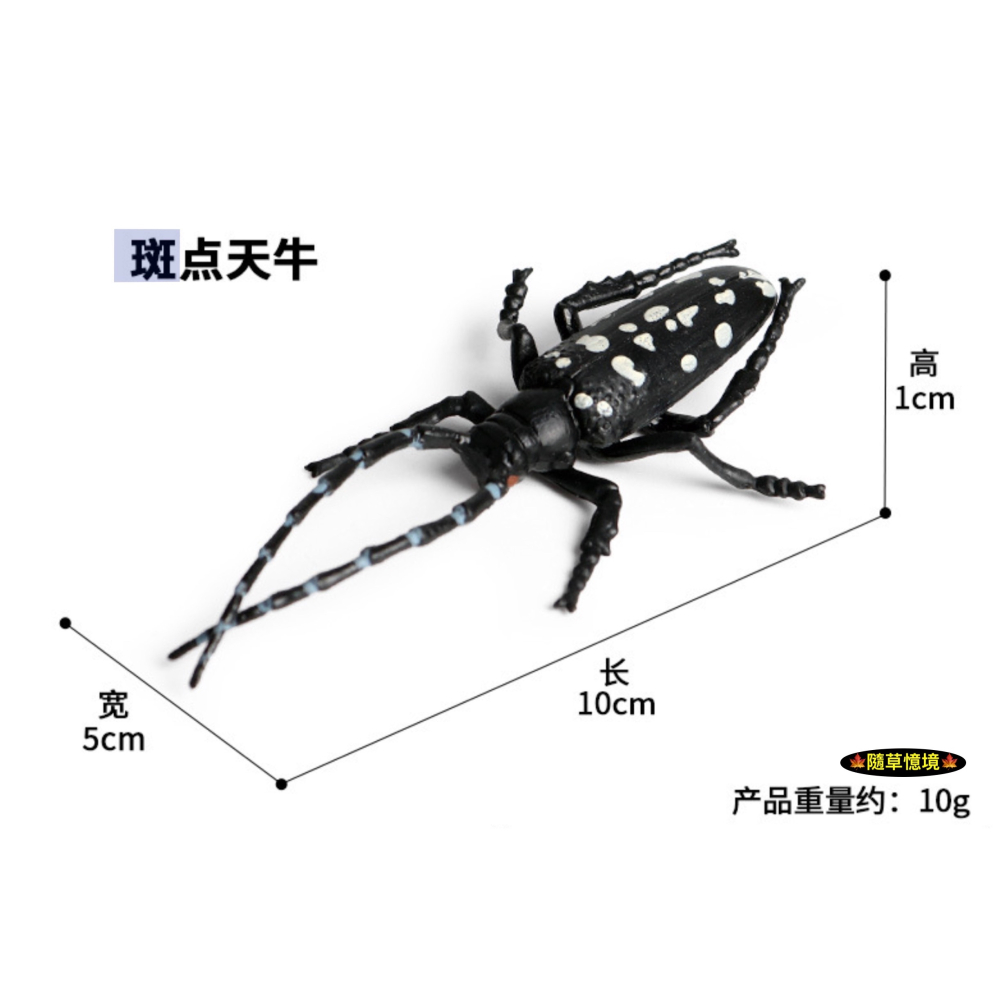 （高品質畫工）仿真 天牛 斑點天牛 甲殼 昆蟲 動物模型 野生動物 兒童玩具 益智 公仔 SPG-細節圖2