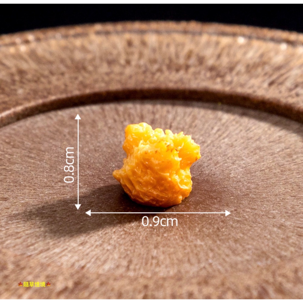 （10款）迷你仿真 炸雞 雞腿 雞塊 速食 炸雞塊 炸雞腿 全家餐 飲料 娃娃屋 袖珍 微縮 食玩 微景觀 模型-規格圖11