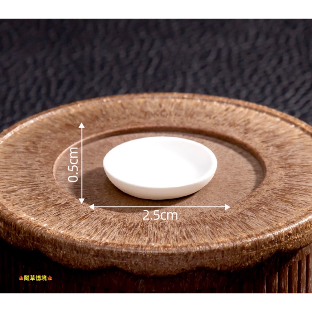 （10款）迷你仿真 炸雞 雞腿 雞塊 速食 炸雞塊 炸雞腿 全家餐 飲料 娃娃屋 袖珍 微縮 食玩 微景觀 模型-規格圖11