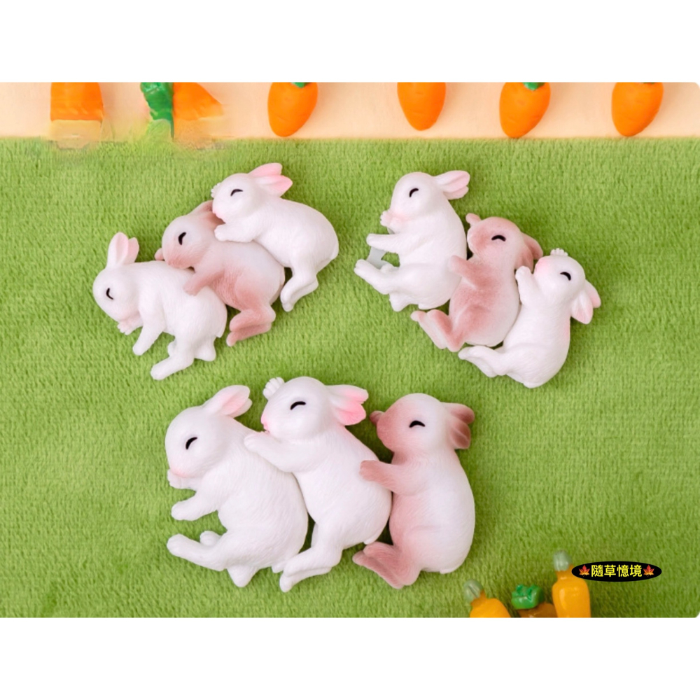 （4款）小白兔 兔子 抱抱兔 可愛 睡覺 兔 兔仔 苔蘚微景觀 園藝 盆景 小動物 娃娃屋 樹脂 擺件 公仔-細節圖2