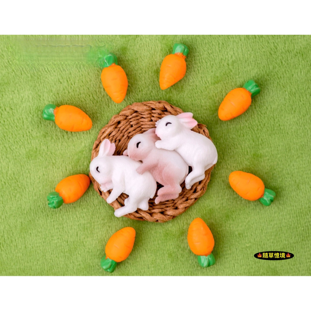 （4款）小白兔 兔子 抱抱兔 可愛 睡覺 兔 兔仔 苔蘚微景觀 園藝 盆景 小動物 娃娃屋 樹脂 擺件 公仔-細節圖3