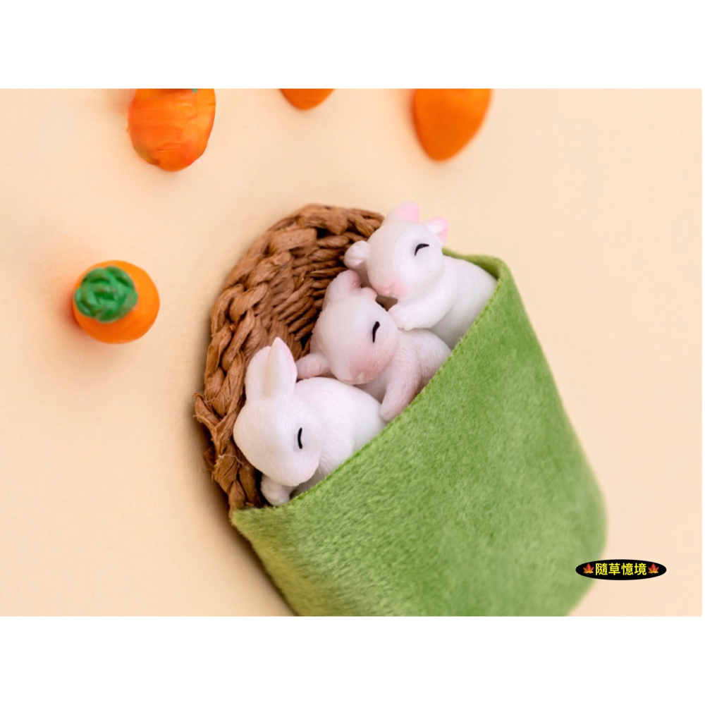 （4款）小白兔 兔子 抱抱兔 可愛 睡覺 兔 兔仔 苔蘚微景觀 園藝 盆景 小動物 娃娃屋 樹脂 擺件 公仔-細節圖6