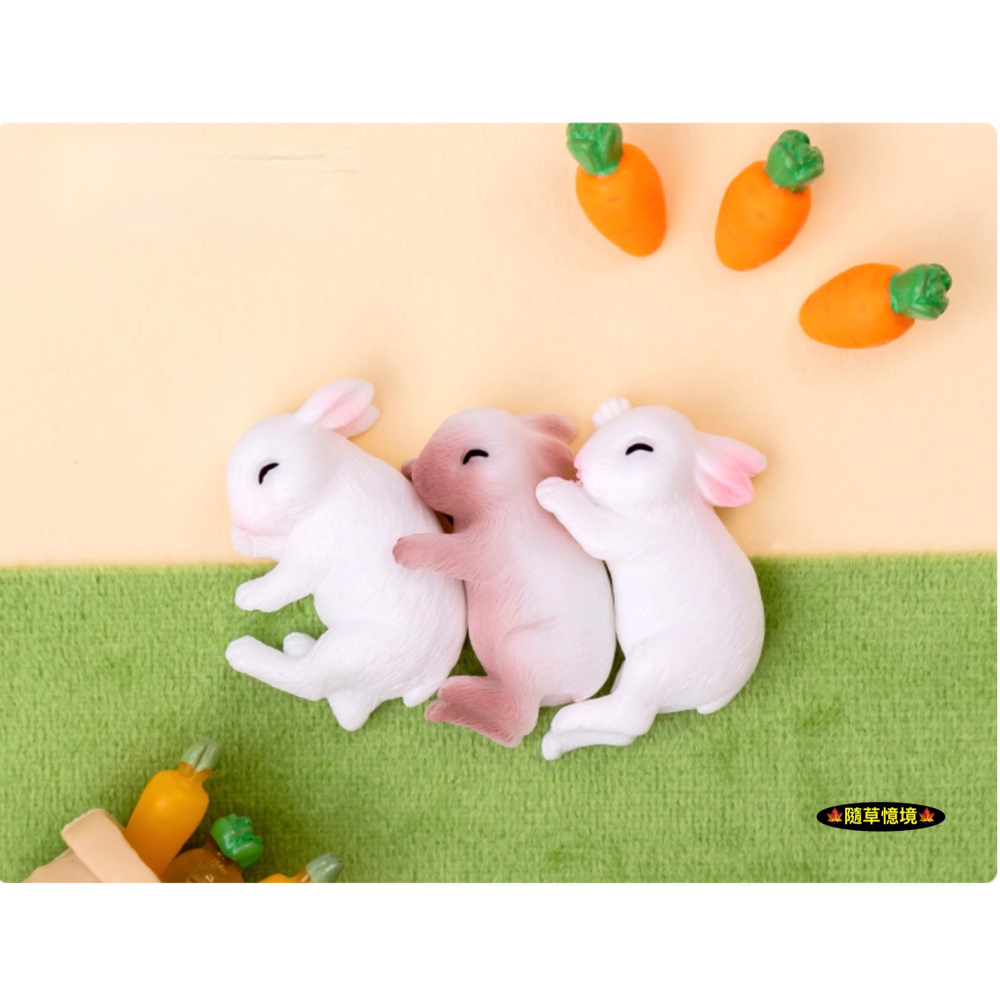 （4款）小白兔 兔子 抱抱兔 可愛 睡覺 兔 兔仔 苔蘚微景觀 園藝 盆景 小動物 娃娃屋 樹脂 擺件 公仔-細節圖7