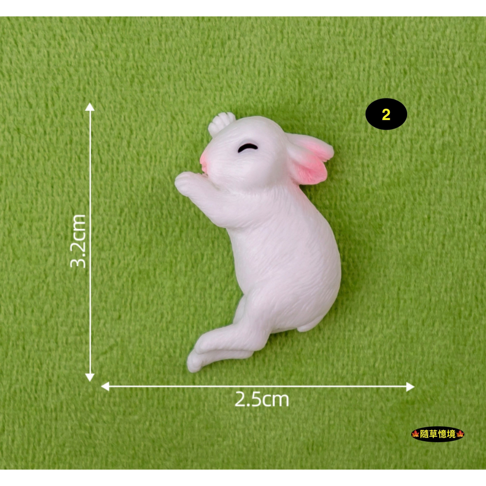 （4款）小白兔 兔子 抱抱兔 可愛 睡覺 兔 兔仔 苔蘚微景觀 園藝 盆景 小動物 娃娃屋 樹脂 擺件 公仔-細節圖9