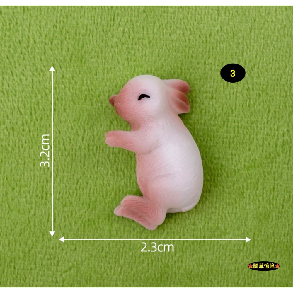 3號兔（白棕色）