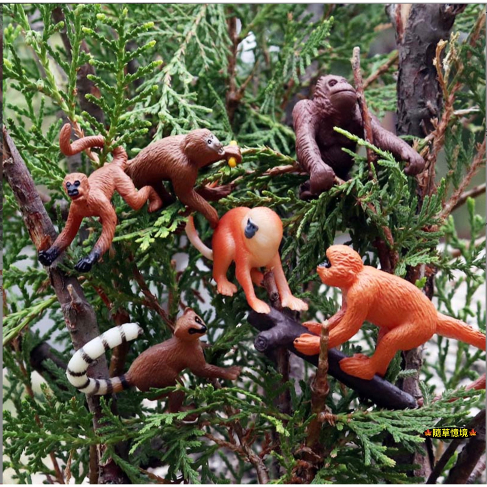 （12款）迷你仿真 猴子 猩猩 金絲猴 狐尾猴 狒狒 猴 蛋糕裝飾 動物模型 野生動物 兒童玩具 SPG-細節圖4