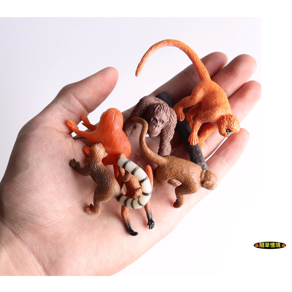 （12款）迷你仿真 猴子 猩猩 金絲猴 狐尾猴 狒狒 猴 蛋糕裝飾 動物模型 野生動物 兒童玩具 SPG-細節圖5
