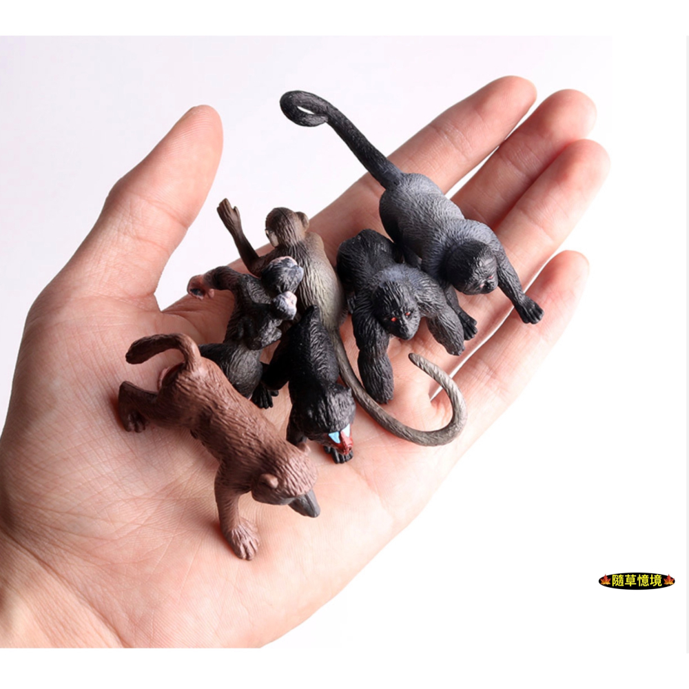 （12款）迷你仿真 猴子 猩猩 金絲猴 狐尾猴 狒狒 猴 蛋糕裝飾 動物模型 野生動物 兒童玩具 SPG-細節圖6