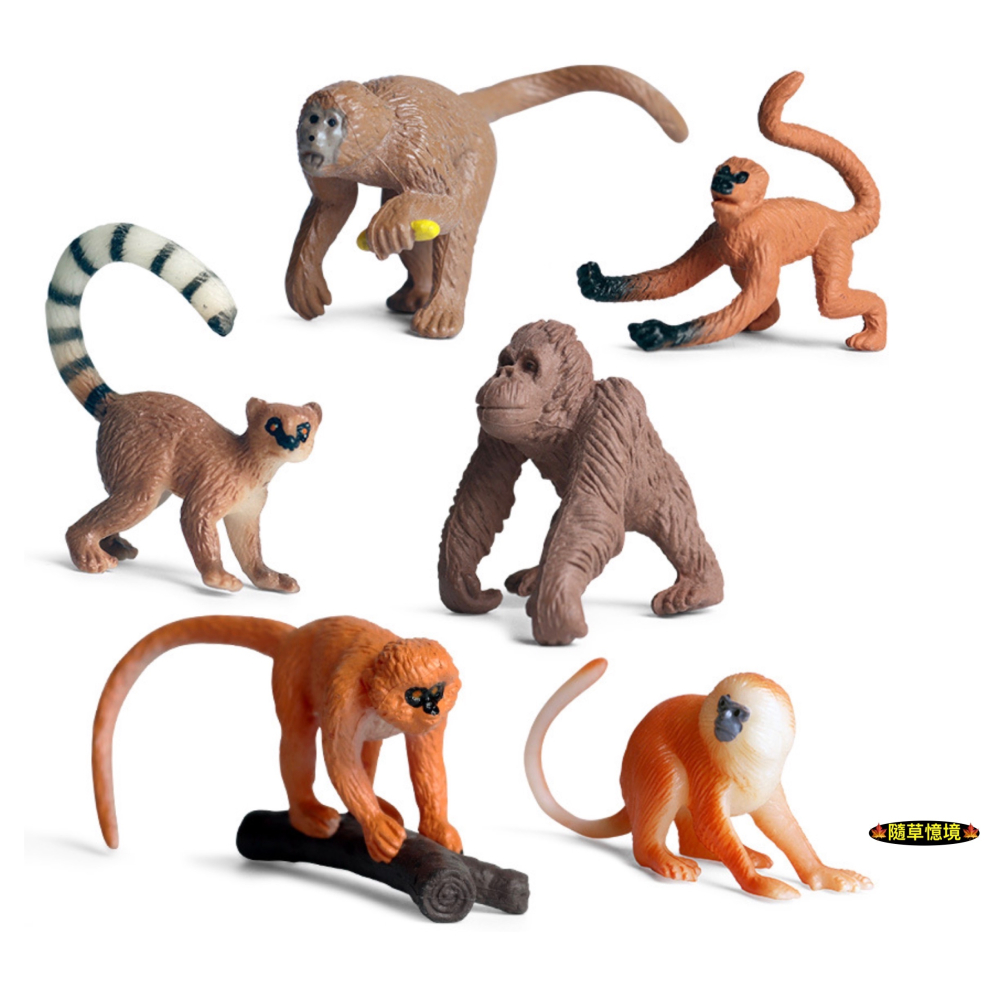 （12款）迷你仿真 猴子 猩猩 金絲猴 狐尾猴 狒狒 猴 蛋糕裝飾 動物模型 野生動物 兒童玩具 SPG-細節圖7