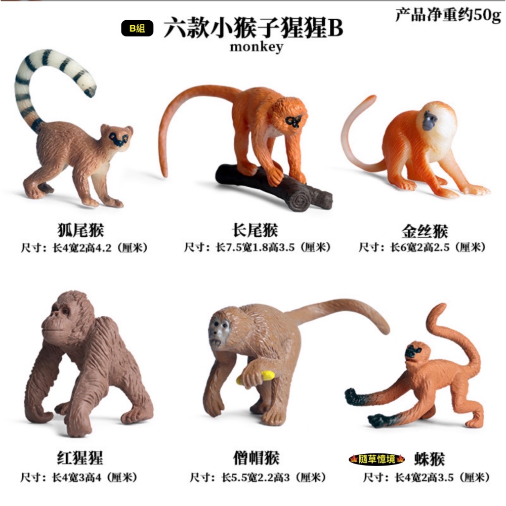 一組6款入（b組合）