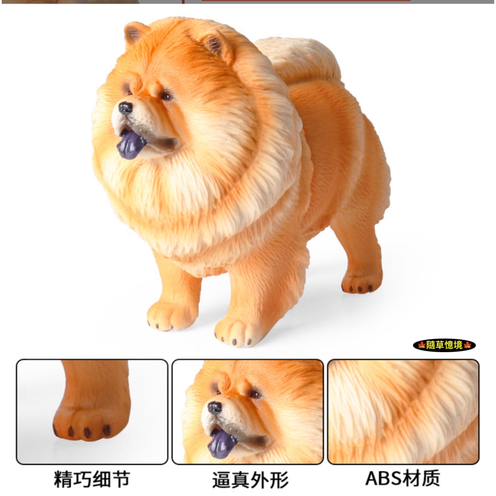 （高品質畫工）仿真 鬆獅犬 松獅犬 獅子犬 獢獢 小狗 狗狗 名犬 動物模型 野生動物 兒童玩具 公仔-細節圖3