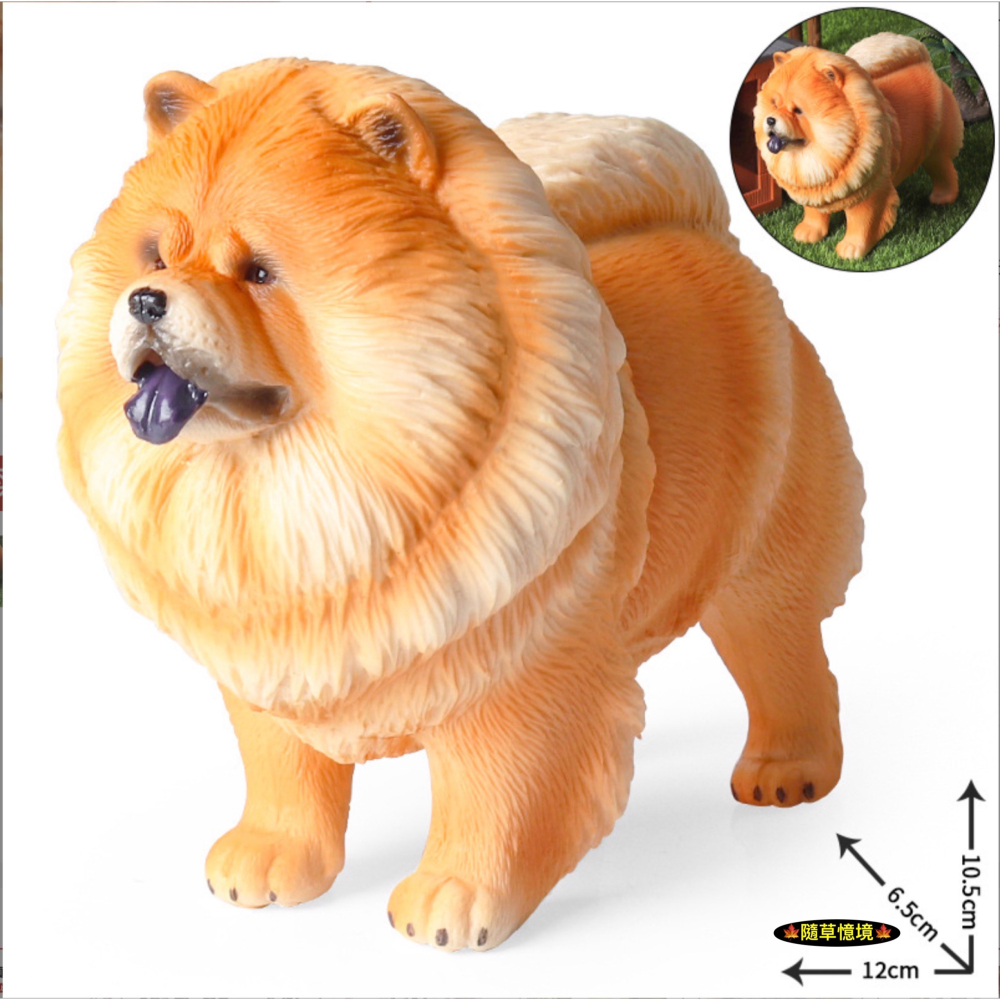 （高品質畫工）仿真 鬆獅犬 松獅犬 獅子犬 獢獢 小狗 狗狗 名犬 動物模型 野生動物 兒童玩具 公仔-細節圖4