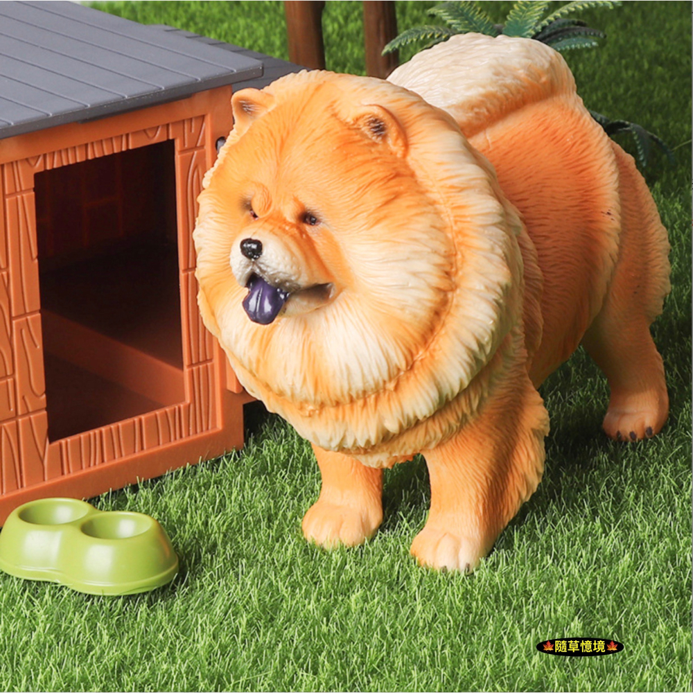 （高品質畫工）仿真 鬆獅犬 松獅犬 獅子犬 獢獢 小狗 狗狗 名犬 動物模型 野生動物 兒童玩具 公仔-細節圖5