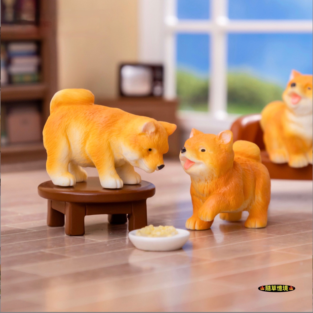 （6款）可愛 柴犬 黃柴 小狗 狗狗 廢柴 財犬 名犬 調皮 狗 娃娃屋 食玩 微景觀 微縮 盆景 魚缸 擺件 模型-細節圖4