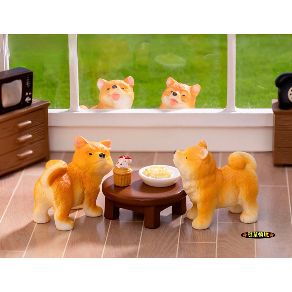 （6款）可愛 柴犬 黃柴 小狗 狗狗 廢柴 財犬 名犬 調皮 狗 娃娃屋 食玩 微景觀 微縮 盆景 魚缸 擺件 模型-細節圖6