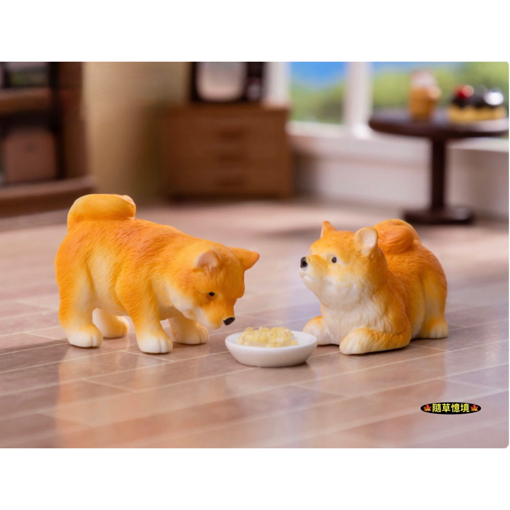 （6款）可愛 柴犬 黃柴 小狗 狗狗 廢柴 財犬 名犬 調皮 狗 娃娃屋 食玩 微景觀 微縮 盆景 魚缸 擺件 模型-細節圖7