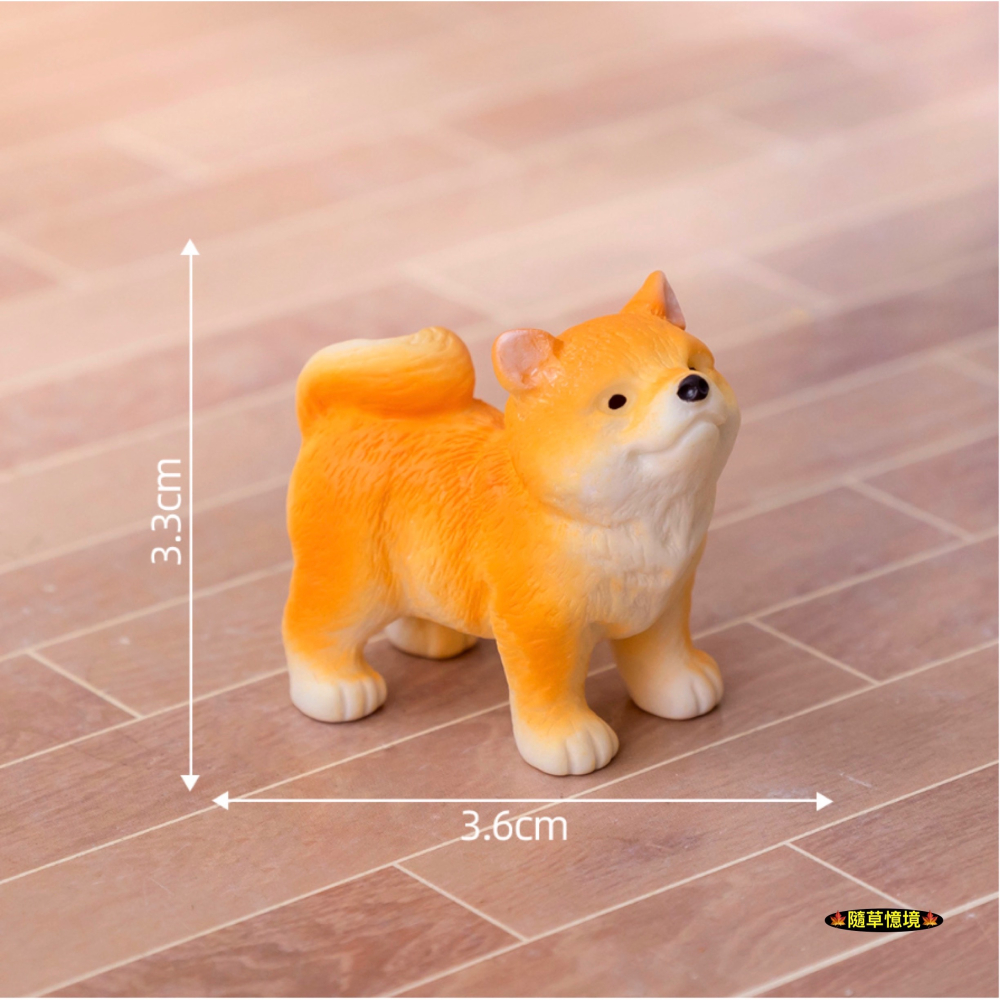 （6款）可愛 柴犬 黃柴 小狗 狗狗 廢柴 財犬 名犬 調皮 狗 娃娃屋 食玩 微景觀 微縮 盆景 魚缸 擺件 模型-細節圖8