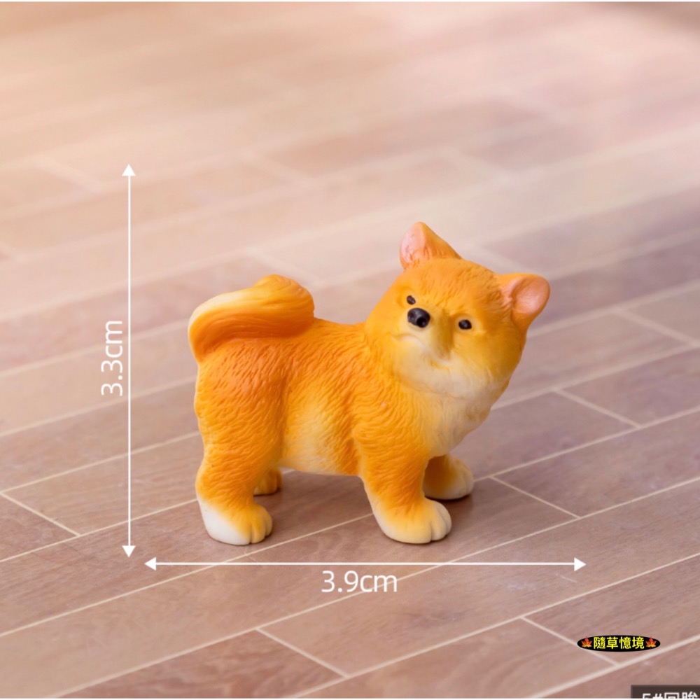 5號（扭頭站姿）