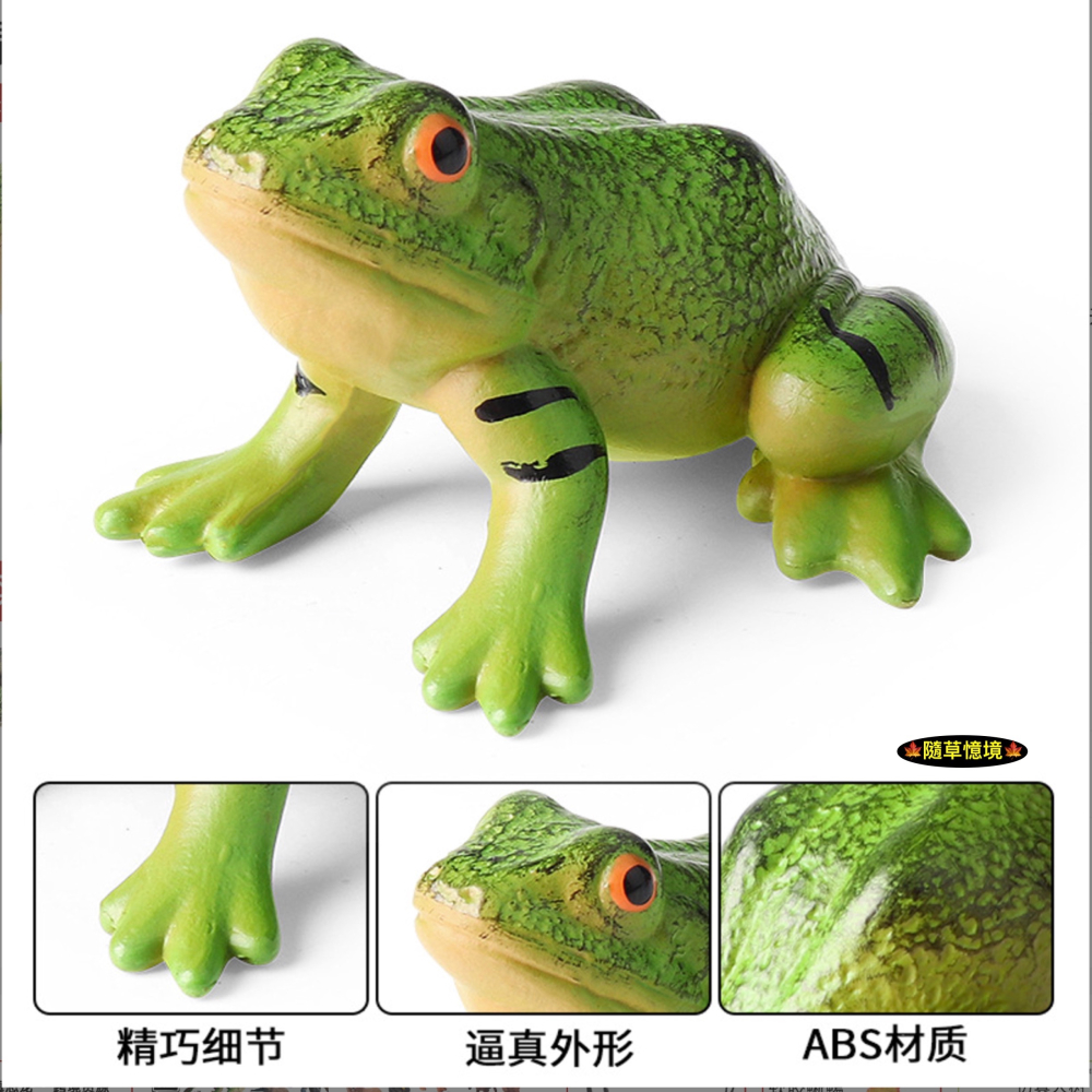 （高品質畫工）仿真 青蛙 牛蛙 蛙 菜蛙 兩棲動物 實心 動物模型 野生動物 兒童玩具 益智 公仔 SPG-細節圖4