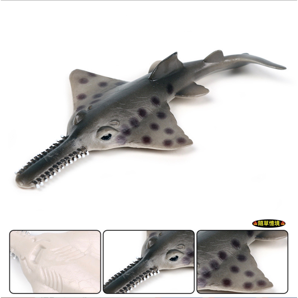 （高品質畫工）仿真 實心鋸鰩 鰩魚 鋸齒鰩 魟魚 魟 動物模型 海洋動物 兒童玩具 益智 公仔 SPG-細節圖2