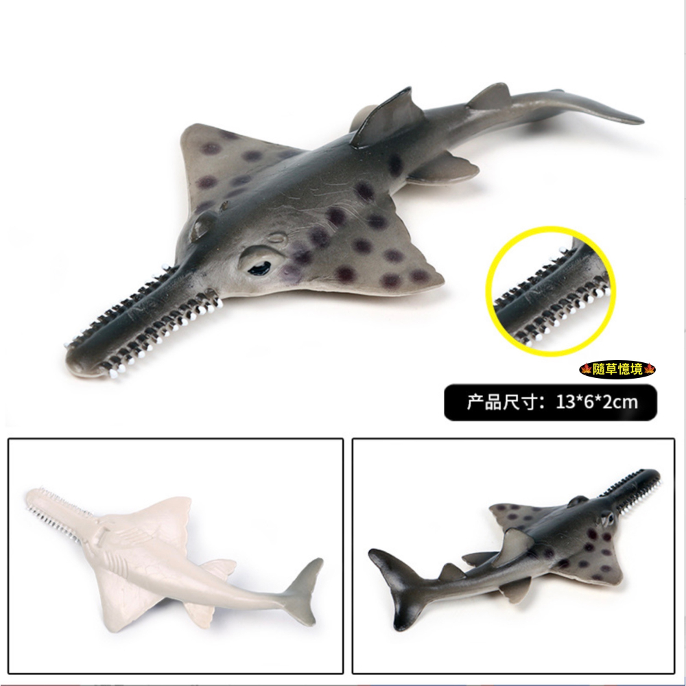 （高品質畫工）仿真 實心鋸鰩 鰩魚 鋸齒鰩 魟魚 魟 動物模型 海洋動物 兒童玩具 益智 公仔 SPG-細節圖3