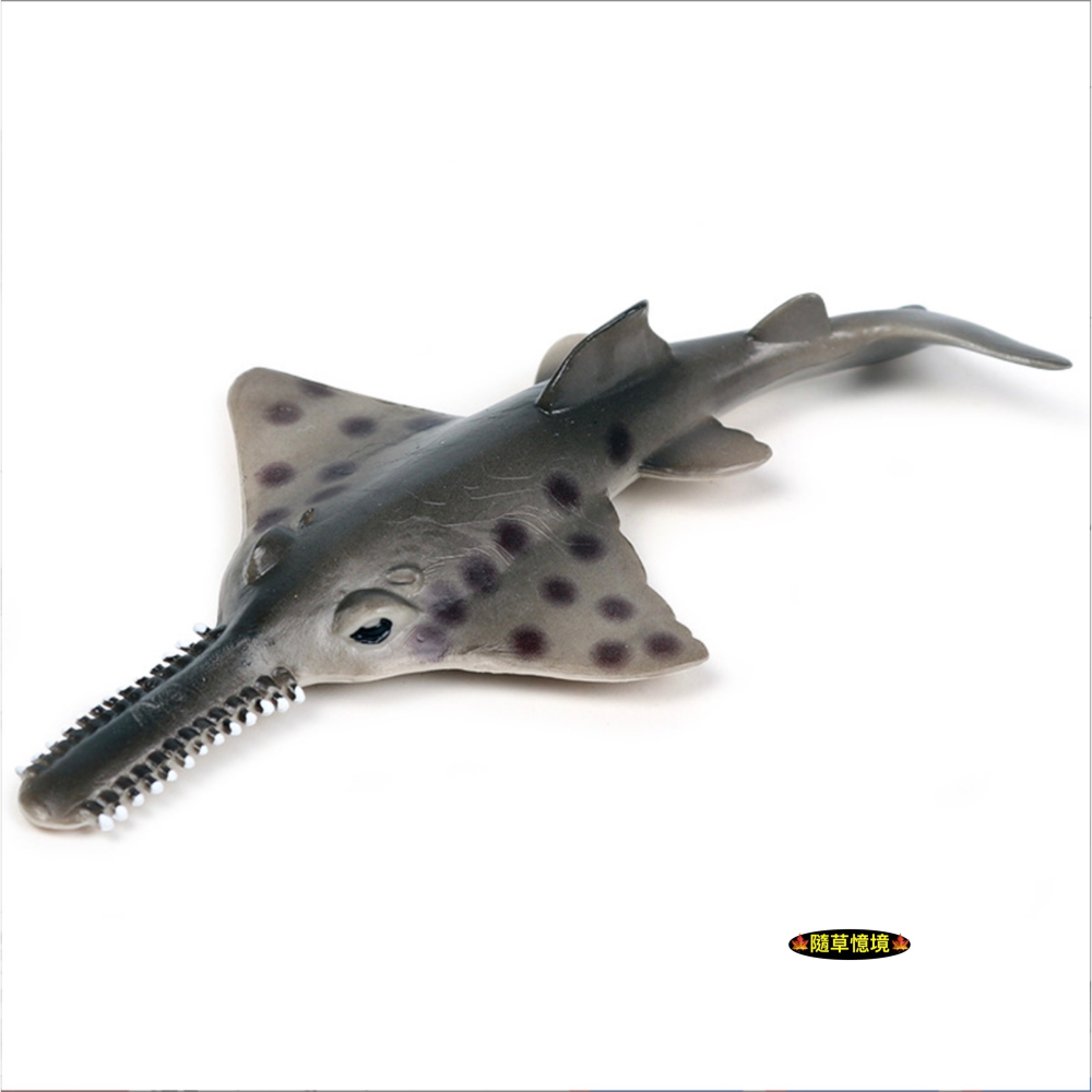 （高品質畫工）仿真 實心鋸鰩 鰩魚 鋸齒鰩 魟魚 魟 動物模型 海洋動物 兒童玩具 益智 公仔 SPG-細節圖5