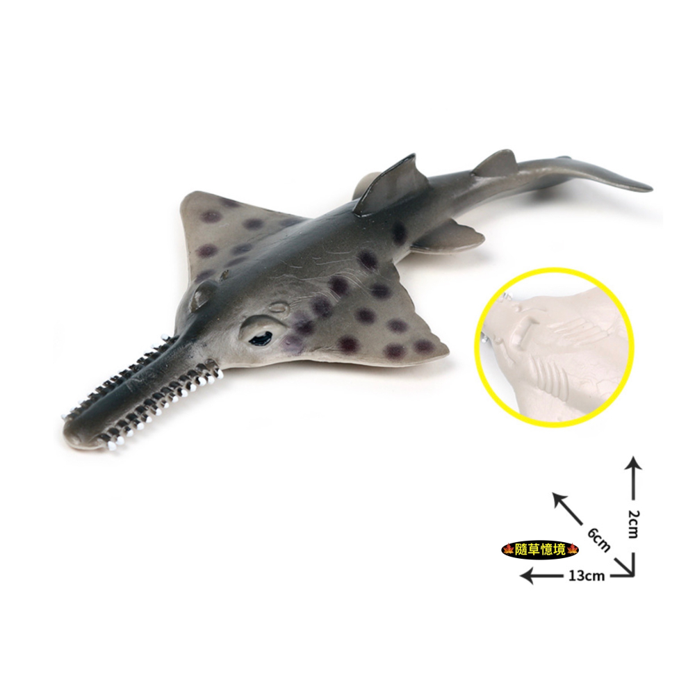 （高品質畫工）仿真 實心鋸鰩 鰩魚 鋸齒鰩 魟魚 魟 動物模型 海洋動物 兒童玩具 益智 公仔 SPG-細節圖6
