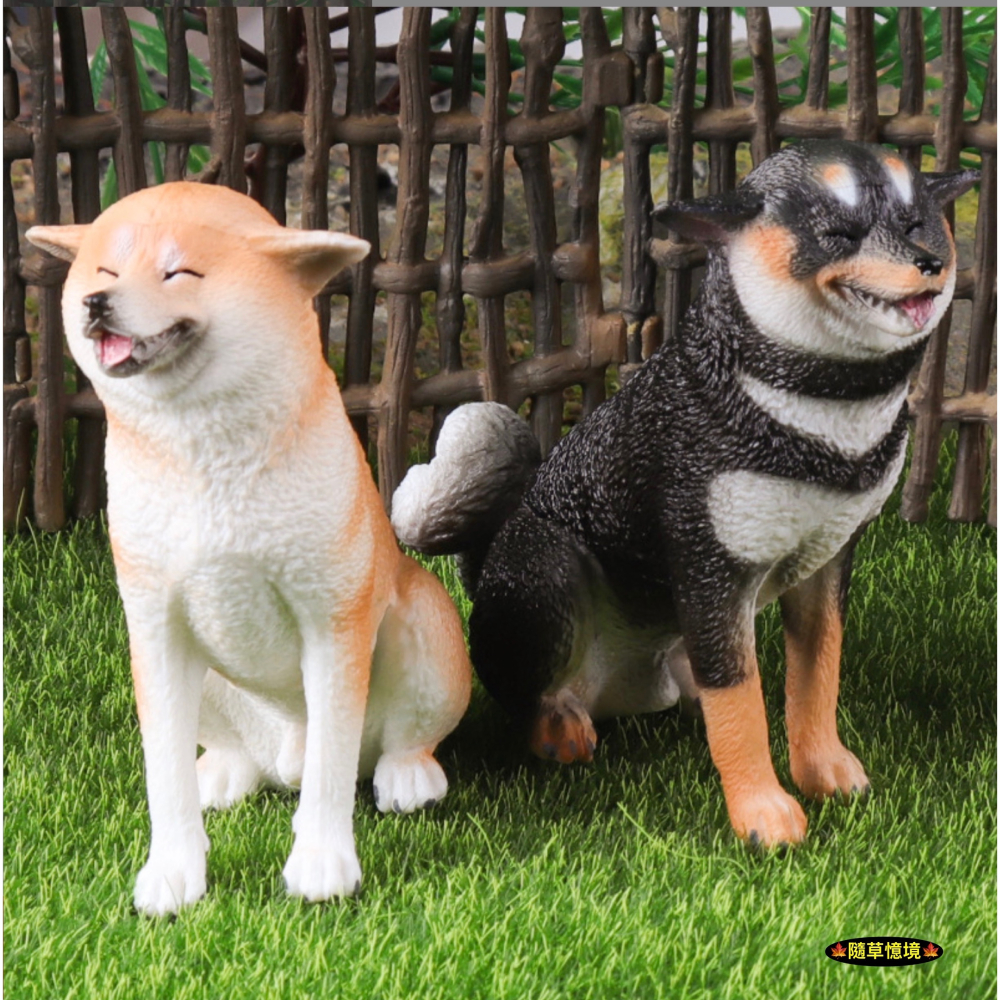 （高品質畫工）仿真 實心 柴犬 赤柴 黃柴 黑柴 飛機耳 憨笑 寵物狗 動物模型 野生動物 公仔 SPG-細節圖2