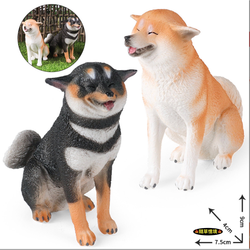 （高品質畫工）仿真 實心 柴犬 赤柴 黃柴 黑柴 飛機耳 憨笑 寵物狗 動物模型 野生動物 公仔 SPG-細節圖5