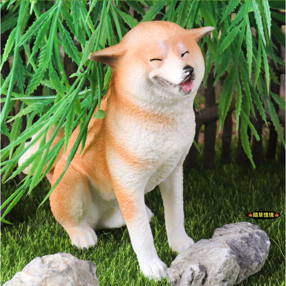 （高品質畫工）仿真 實心 柴犬 赤柴 黃柴 黑柴 飛機耳 憨笑 寵物狗 動物模型 野生動物 公仔 SPG-細節圖6