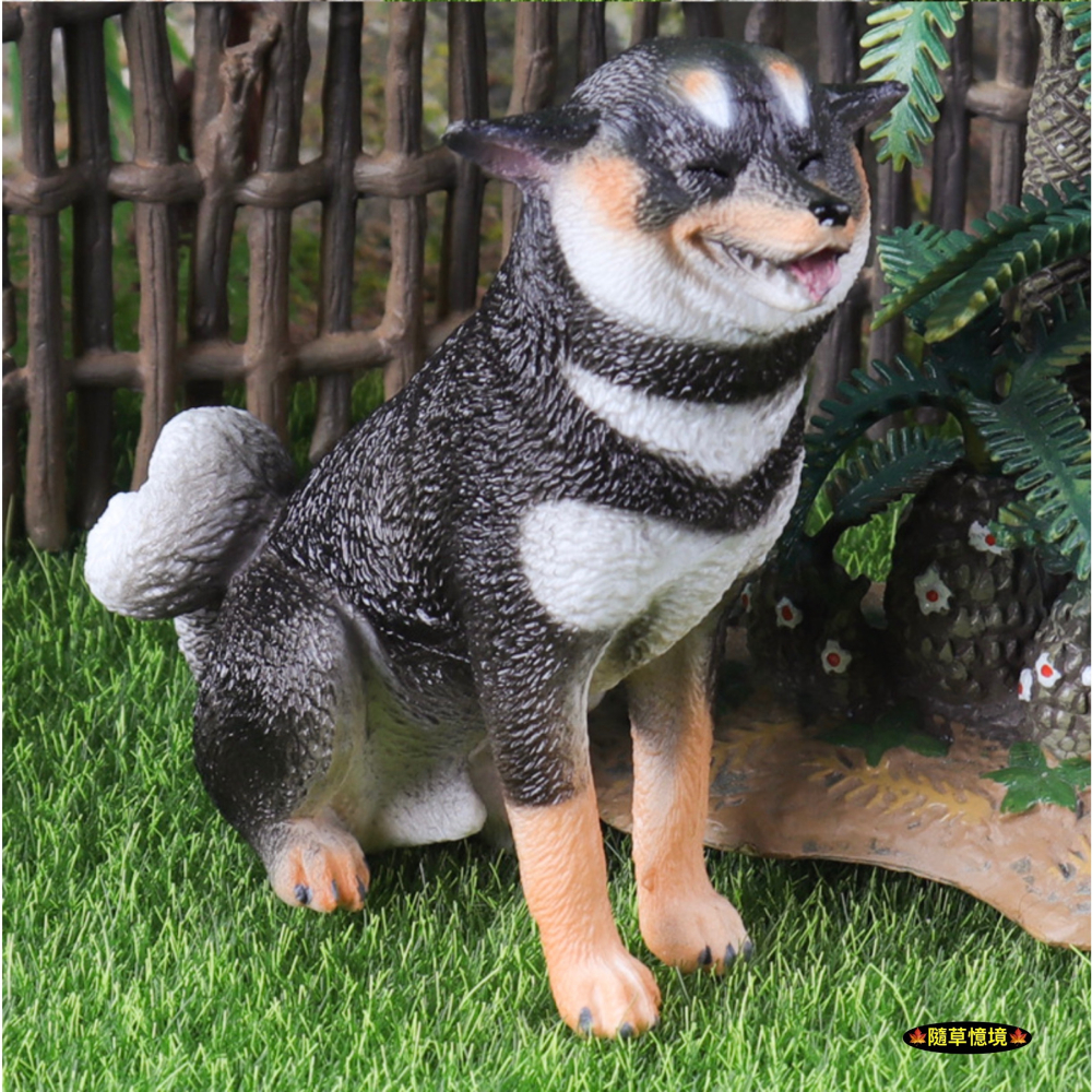 （高品質畫工）仿真 實心 柴犬 赤柴 黃柴 黑柴 飛機耳 憨笑 寵物狗 動物模型 野生動物 公仔 SPG-細節圖7