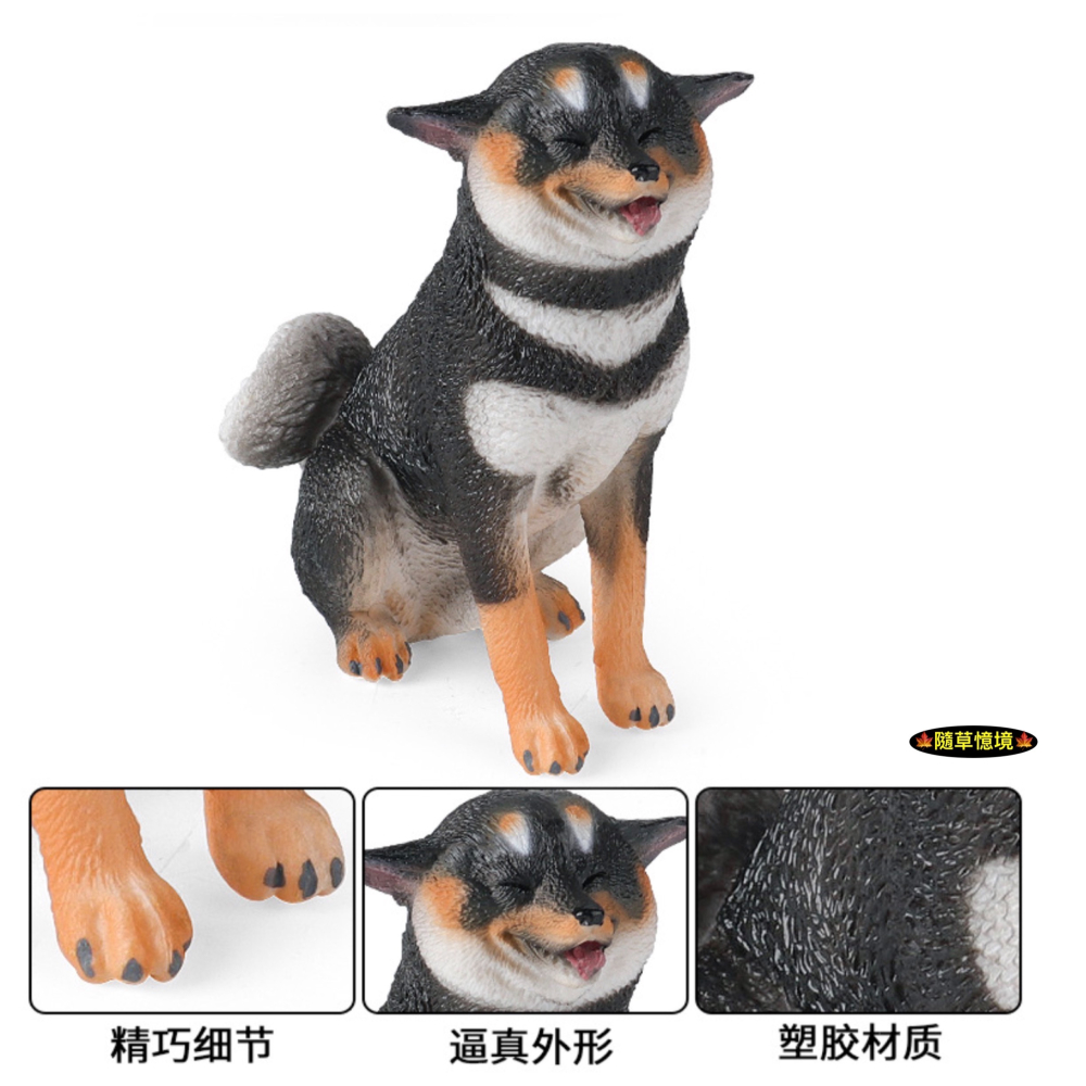 （高品質畫工）仿真 實心 柴犬 赤柴 黃柴 黑柴 飛機耳 憨笑 寵物狗 動物模型 野生動物 公仔 SPG-細節圖8